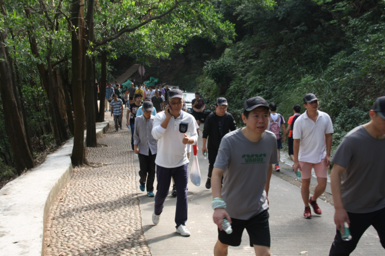 “凝聚力 勇攀登” 集團(tuán)公司組織秋季登南山活動