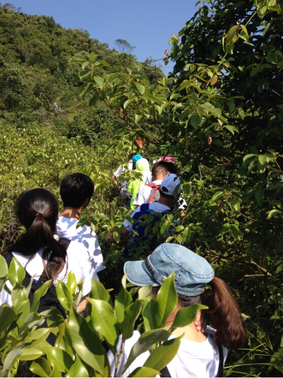 “心港灣、新征途”－招商港灣集團(tuán)馬巒山徒步活動(dòng)-